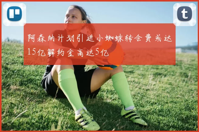 阿森纳计划引进小蜘蛛转会费或达15亿解约金高达5亿