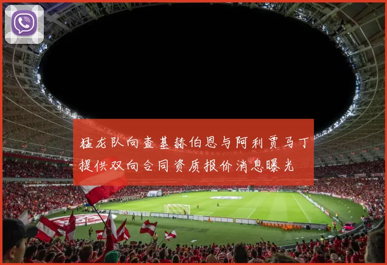 猛龙队向查基赫伯恩与阿利贾马丁提供双向合同资质报价消息曝光